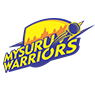 Mysuru Warriors